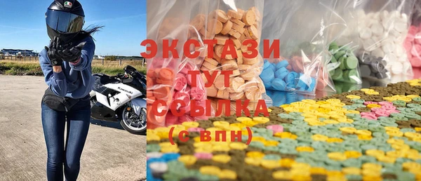стаф Ростов